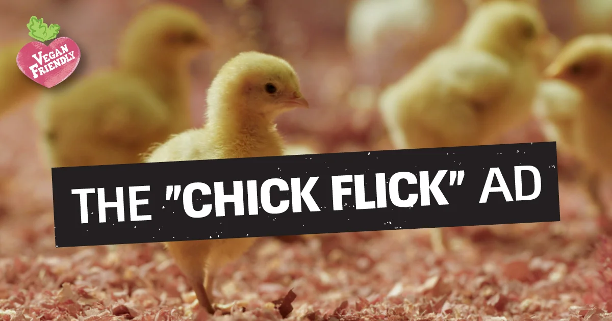 Chick Flick Campaign Ad